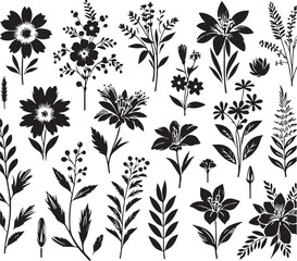 Black Color Specialty Flowers Silhouette Vector Illustration design, Solid White Background
