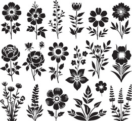 Black Color Specialty Flowers Silhouette Vector Illustration design, Solid White Background