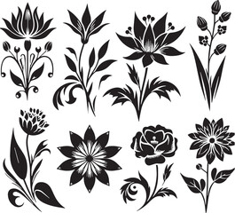 Black Color Specialty Flowers Silhouette Vector Illustration design, Solid White Background