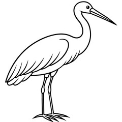 Classic Stork Outline Sketch