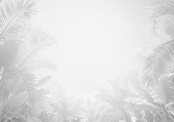 南国の草木をフレームのようにあしらった背景画