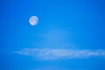 moon over the blue sky 1 © Renee Nalani