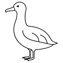 Minimalist Albatross Line Art Vector