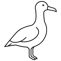 Minimalist Albatross Line Art Vector