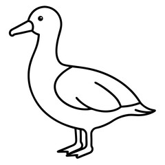 Minimalist Albatross Line Art Vector