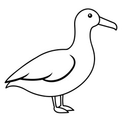 Minimalist Albatross Line Art Vector