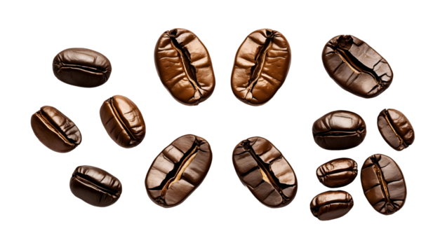 A set of coffee beans in various sizes and shapes, rich brown roasted beans isolated on a clean background, perfect for coffee-themed designs