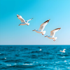 Fototapeta premium Three Seagulls Flying Over Blue Ocean Under Bright Sky