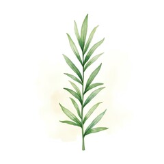 Obraz premium Elegant Watercolor Green Leaf Botanical Illustration