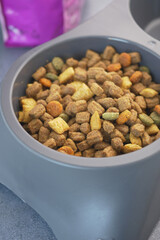 Pet food bowl filled with kibble and colorful pieces for feeding