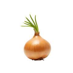 Sprouting Onion PNG with Transparent Background &ndash; Fresh Organic Vegetable