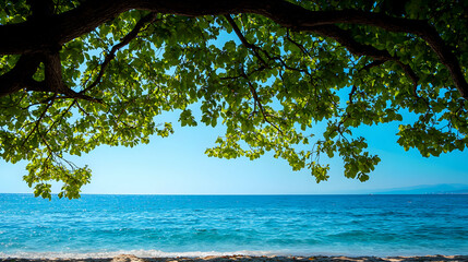Tranquil Ocean View Under Lush Green Tree Canopy