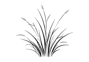 Silhouette Design of a Grass Bundle with Tall Natural Blades in a Minimalist Botanical Style