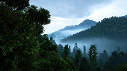 A serene morning view of mist-covered mountains, surrounded by lush greenery. The tranquil atmosphere invites exploration and appreciation of nature's beauty