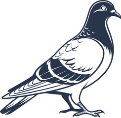 Pigeon Bird Silhouette Vector Illustration, Best Pigeon Icon