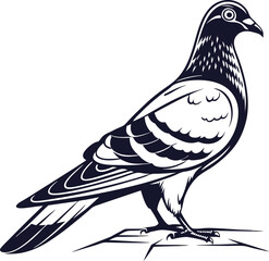 Pigeon Bird Silhouette Vector Illustration, Best Pigeon Icon