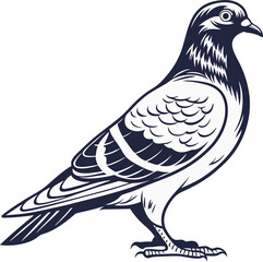 Pigeon Bird Silhouette Vector Illustration, Best Pigeon Icon