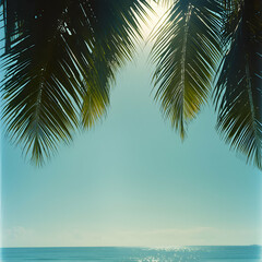 Fototapeta premium Tropical Beach Scene with Palm Trees and Ocean View