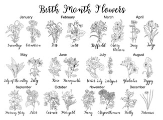 Set of flower line art vector illustrations. Carnation, daffodil, larkspur, honeysuckle, tulip, lilies, peony, cosmos hand drawn black ink illustrations. Birth month flowers for jewelry, tattoo, logo