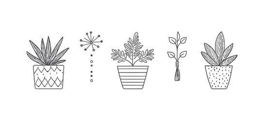 A set of potted plants hanging from the ceiling