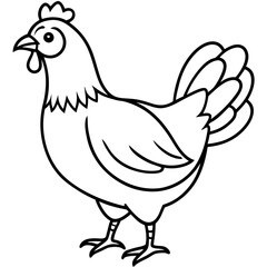 Minimalist Chicken Line Art Vector