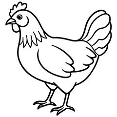 Minimalist Chicken Line Art Vector