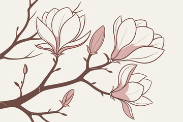 Blossoming magnolias with subtle brown branches on a pale background.