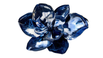 Blue and white abstract flower blooming with transparent background