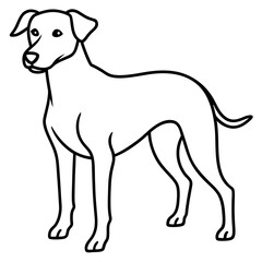 Minimalist Dog Line Art Vector
