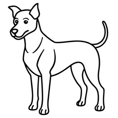 Minimalist Dog Line Art Vector