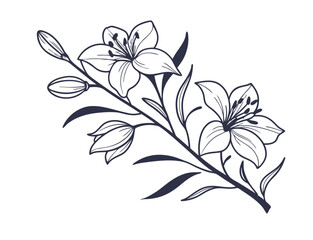 Ink hand drawn flowers set. Pencil drawn floral elements, lily of the valley isolated on white