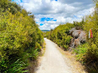 Geothermal area of Rotorua, New Zealamd 2023 Feb.9