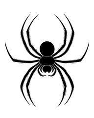 Obraz premium Spider, white isolate background