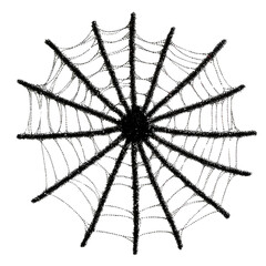 Obraz premium Spider web, white isolate background