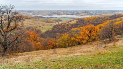 Fototapeta premium Autumnal vista, rolling hills, misty valley, panoramic view