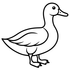 Minimalist Duck Line Art Vector
