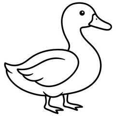 Minimalist Duck Line Art Vector