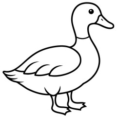 Minimalist Duck Line Art Vector