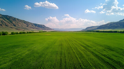 Obraz premium Vast Green Field Surrounded by Mountains under a Sunny Sky