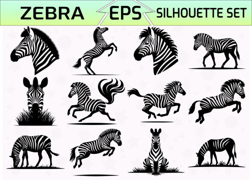 Set of Zebra Silhouette Vector Illustration