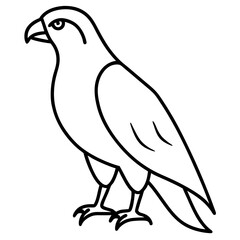 Minimalist Hawk Line Art Vector
