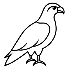 Minimalist Hawk Line Art Vector