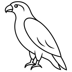 Minimalist Hawk Line Art Vector