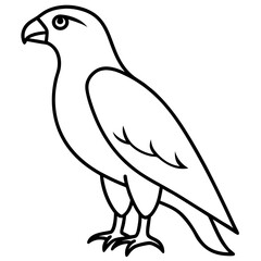 Minimalist Hawk Line Art Vector