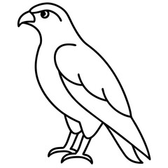 Minimalist Hawk Line Art Vector
