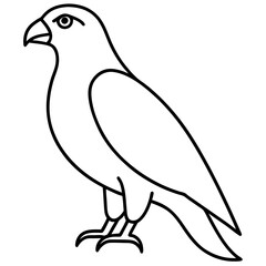 Minimalist Hawk Line Art Vector