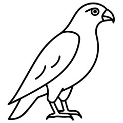 Minimalist Hawk Line Art Vector