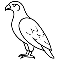 Minimalist Hawk Line Art Vector