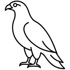 Minimalist Hawk Line Art Vector