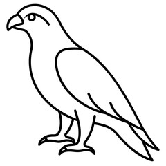 Minimalist Hawk Line Art Vector